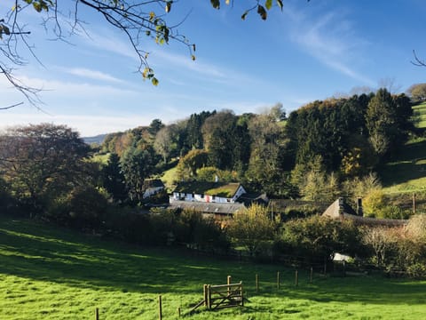 Superior Cottage, Private Bathroom, Courtyard View (The Nest) | Point of interest