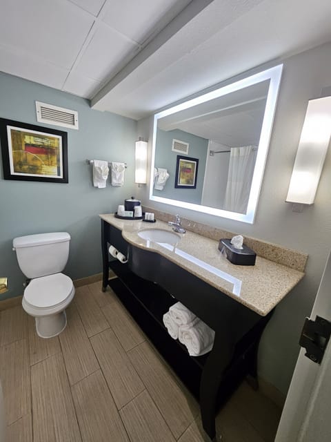 Suite, 1 King Bed, Non Smoking | Bathroom | Combined shower/tub, free toiletries, hair dryer, towels