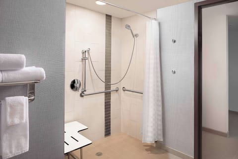 Room, 1 King Bed with Sofa bed, Accessible (With Shower) | Bathroom | Shower, designer toiletries, towels