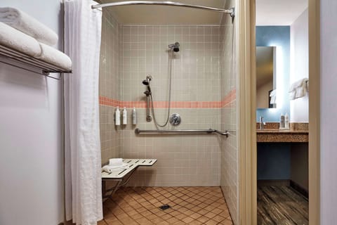 Room, 2 Queen Beds, Accessible (Roll-In Shower) | Bathroom shower