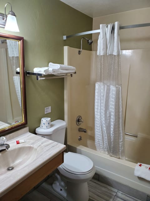 Combined shower/tub, free toiletries, hair dryer, towels