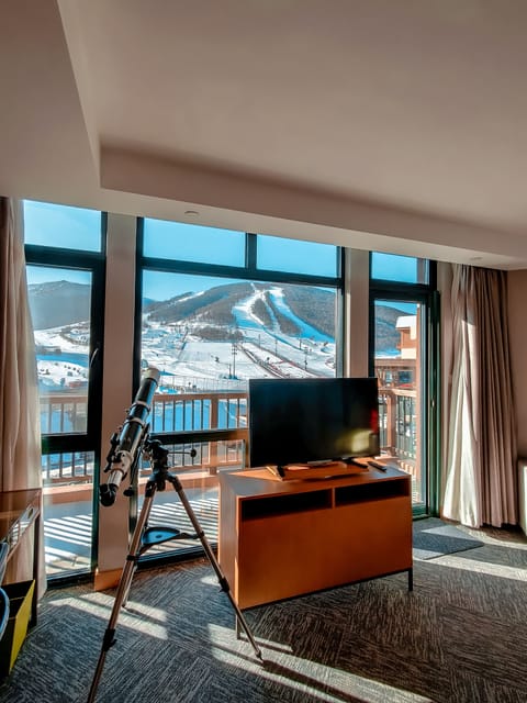 Room, 1 Bedroom (View) | Premium bedding, down comforters, Select Comfort beds, in-room safe
