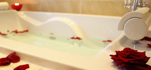 Suite | Bathroom | Shower, free toiletries, hair dryer, towels