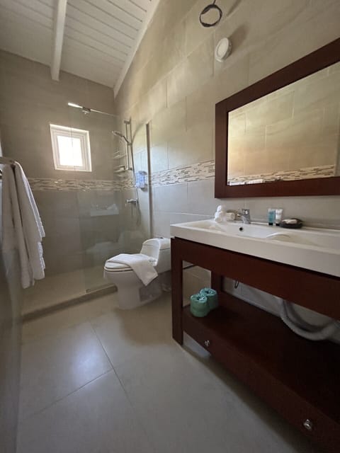 Family Apartment, 2 Bedrooms, Pool View | Bathroom | Shower, free toiletries, hair dryer, towels