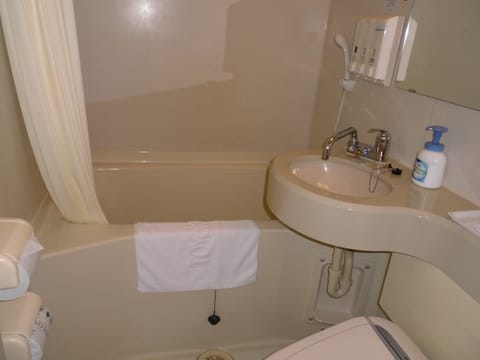 Combined shower/tub, slippers, electronic bidet, towels