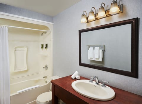 Standard Room, 1 Queen Bed, Balcony, Lake View | Bathroom | Combined shower/tub, deep soaking tub, free toiletries, hair dryer