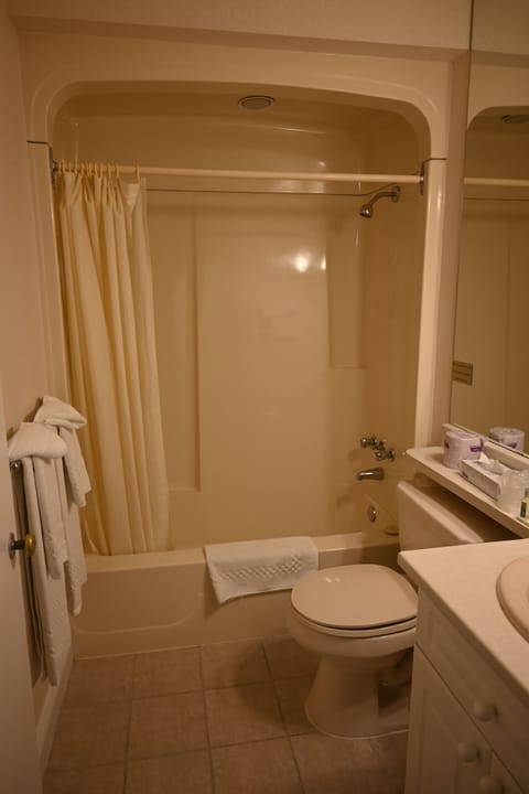 Room, 2 Queen Beds | Bathroom | Combined shower/tub, free toiletries, hair dryer, bathrobes