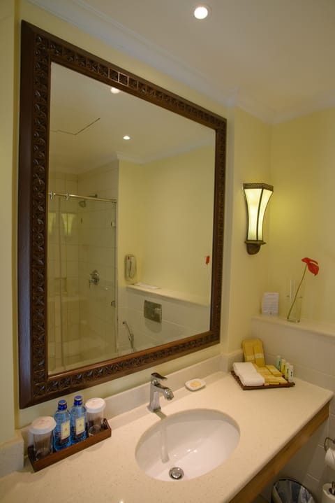 Standard Double Room | Bathroom | Shower, rainfall showerhead, free toiletries, hair dryer