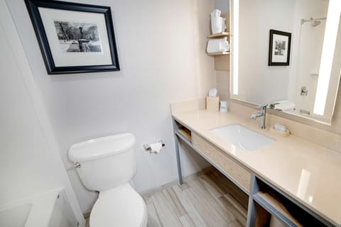 Standard Double Room Single Use, 2 Queen Beds | Bathroom | Free toiletries, hair dryer, towels