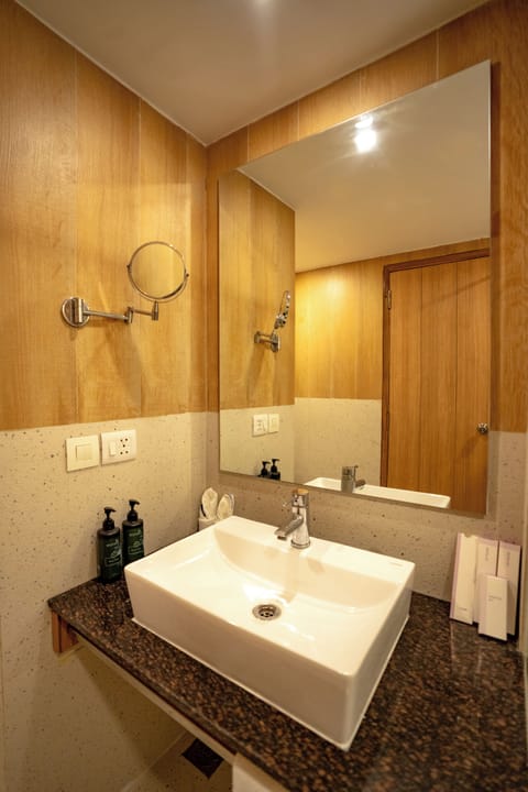 Executive Room | Bathroom | Shower, rainfall showerhead, free toiletries, hair dryer