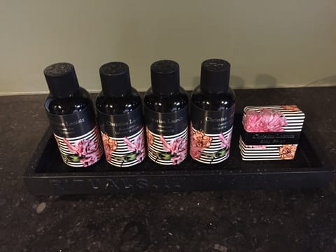 Shower, rainfall showerhead, free toiletries, hair dryer