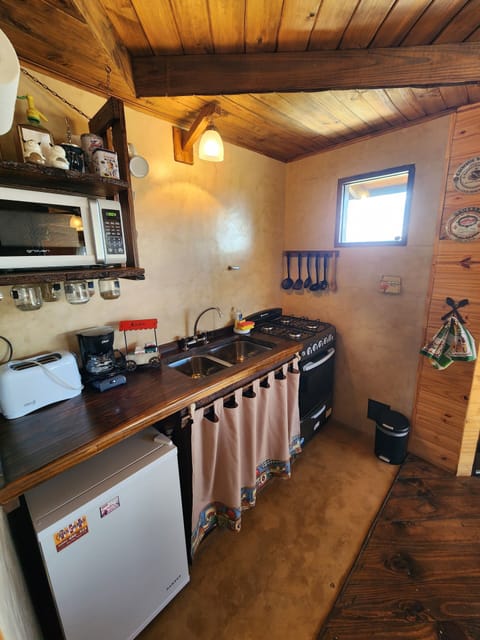 Cabin | Private kitchen | Fridge, microwave, oven, stovetop