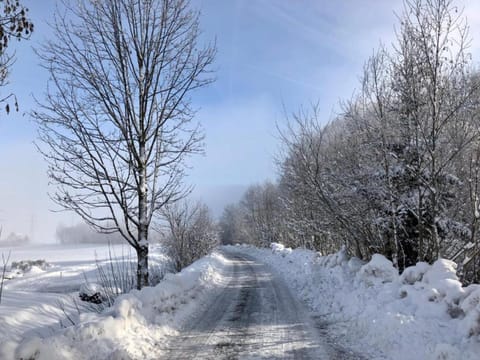 Region [winter] (>5 km)