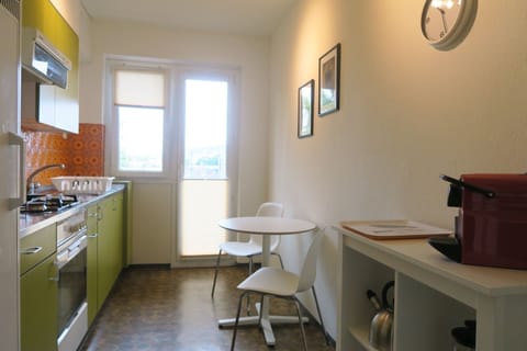 Comfort Apartment, 2 Bedrooms, Kitchen (201) (plus cleaning fee of 90 CHF) | Private kitchen | Full-size fridge, oven, stovetop, coffee/tea maker