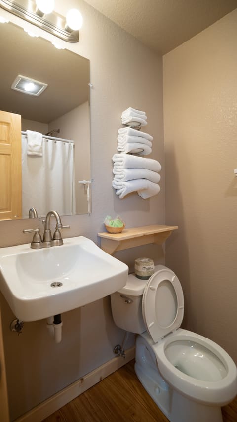 Room 14 | Bathroom | Combined shower/tub, towels