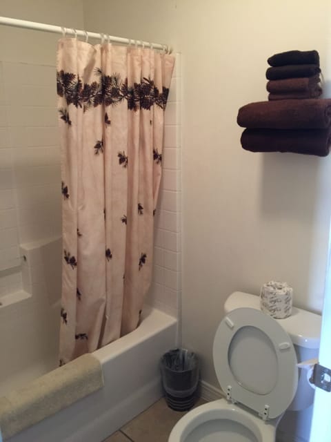 Basic Double Room Single Use, 1 Bedroom, Bathtub, Ground Floor | Bathroom | Combined shower/tub, free toiletries, hair dryer, towels