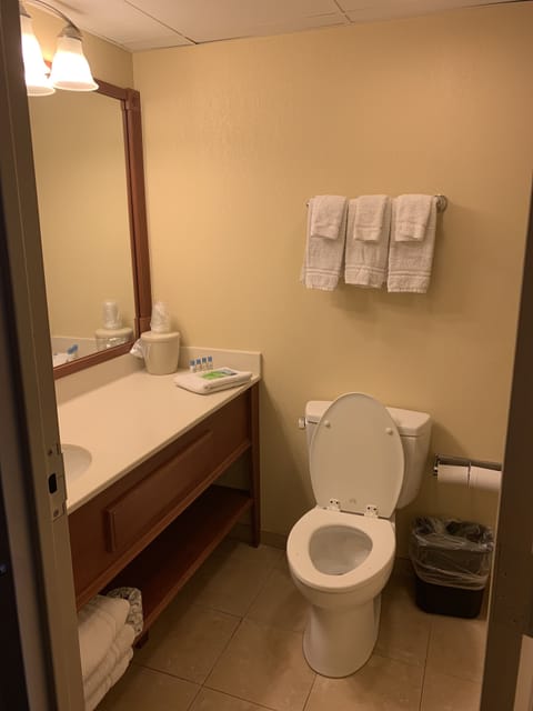 Combined shower/tub, free toiletries, hair dryer, towels