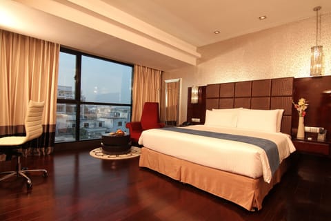 Executive Double Room, City View | City view