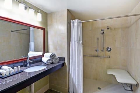 One King Bed, Non-Smoking, Roll In Shower | Bathroom shower
