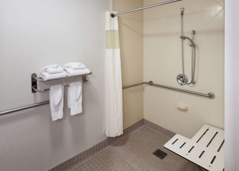 Studio, 1 King Bed with Sofa bed, Accessible (Mobility & Hearing, Roll-in Shower) | Bathroom shower