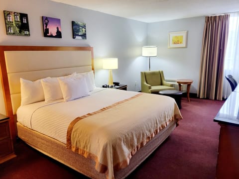 Dog Friendly Deluxe King Room | Pillowtop beds, desk, laptop workspace, blackout drapes