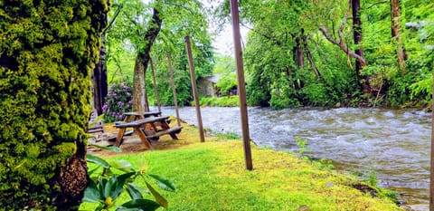 BBQ/picnic area