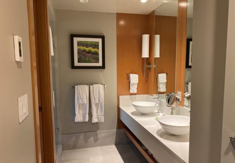 West Wing, Partial Lakeview | Bathroom | Free toiletries, hair dryer, towels, toilet paper