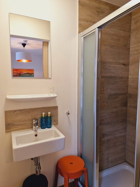 Single Room | Bathroom | Shower, free toiletries, hair dryer, towels