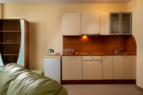 Apartment, 1 Bedroom (Free Beach Package) | Minibar, desk, free WiFi, bed sheets