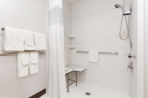 Room, Accessible, Non Smoking | Bathroom shower