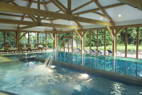 Indoor pool, sun loungers