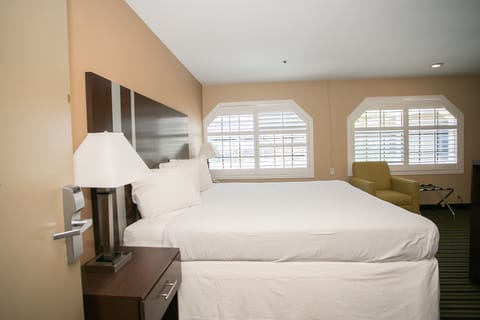 Room, 1 King Bed | Desk, laptop workspace, iron/ironing board, free WiFi