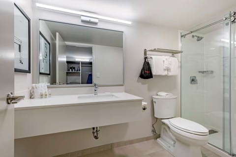 Combined shower/tub, free toiletries, hair dryer, towels