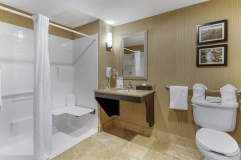 Suite, 1 King Bed with Sofa bed, Accessible, Non Smoking | Bathroom | Combined shower/tub, free toiletries, hair dryer, bathrobes