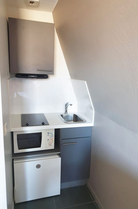 Superior Studio | Private kitchen | Fridge, microwave, stovetop, coffee/tea maker