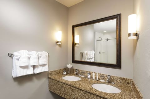 Executive Suite, 1 King Bed, Two Rooms | Bathroom shower