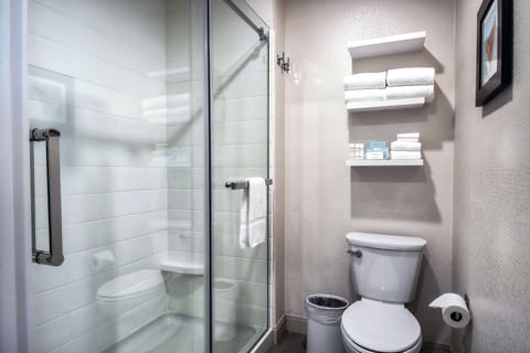 Studio, 1 King Bed, Non Smoking, Refrigerator & Microwave | Bathroom shower