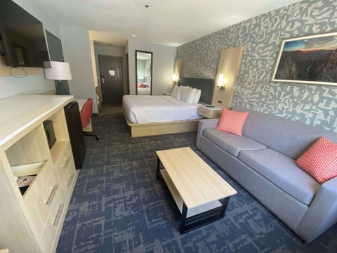 Standard Room, 1 King Bed, Non Smoking (Walk-in Shower;with Sofabed) | Pillowtop beds, desk, laptop workspace, blackout drapes