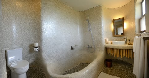 Separate tub and shower, deep soaking tub, rainfall showerhead