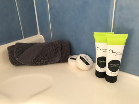 Shower, free toiletries, towels