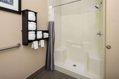 Combined shower/tub, free toiletries, hair dryer, towels