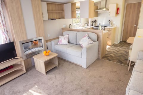 Flat-screen TV, fireplace