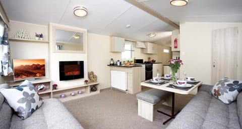 Comfort Mobile Home, 2 Bedrooms, Ground Floor | Living area | Flat-screen TV, fireplace