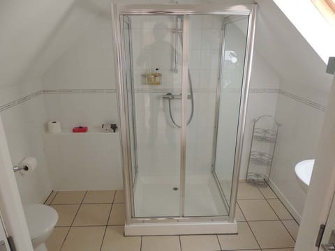 Double Room, 1 King Bed | Bathroom shower