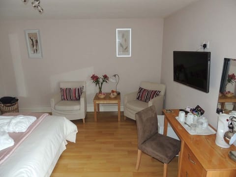 Double Room, 1 King Bed | Coffee and/or coffee maker