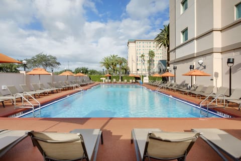 Outdoor pool, pool umbrellas, sun loungers