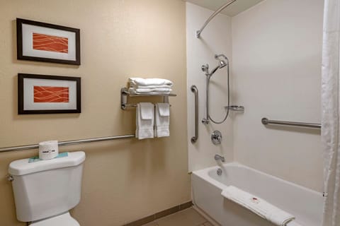 Room, 1 King Bed, Accessible, Non Smoking | Bathroom | Combined shower/tub, free toiletries, hair dryer, towels