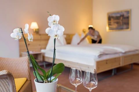 Standard Double Room | Hypo-allergenic bedding, free minibar, in-room safe, desk