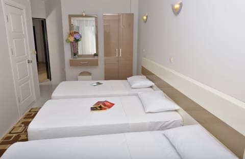 Triple Room | Minibar, in-room safe, iron/ironing board, free WiFi