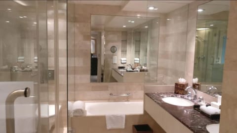 Separate tub and shower, deep soaking tub, rainfall showerhead